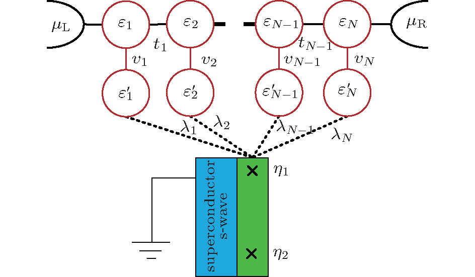 Quantum Transport Through A Multi Quantum Dot Pair Chain Side Coupled With Majorana Bound States