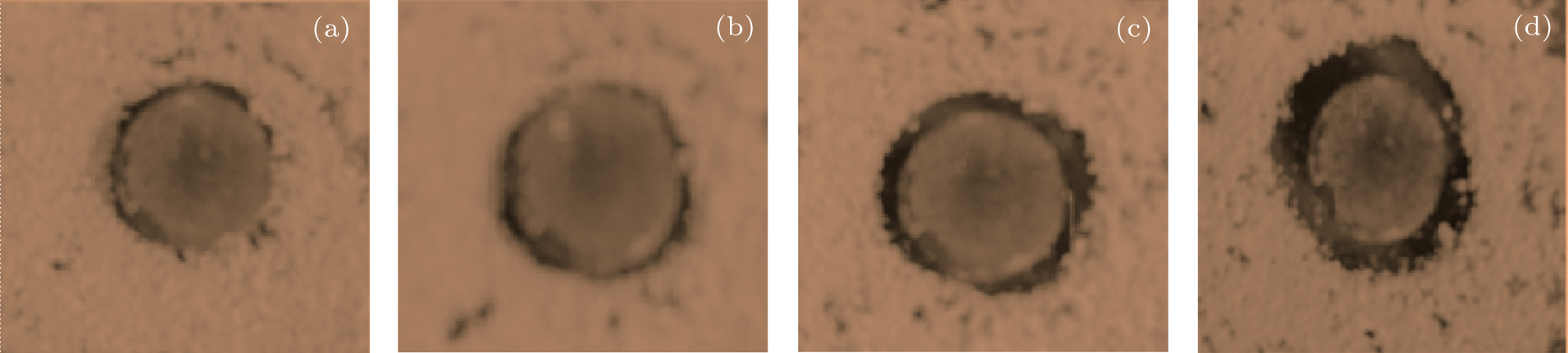 Spectral Features And Antibacterial Properties Of Cu Doped Zno Nanoparticles Prepared By Sol Gel Method