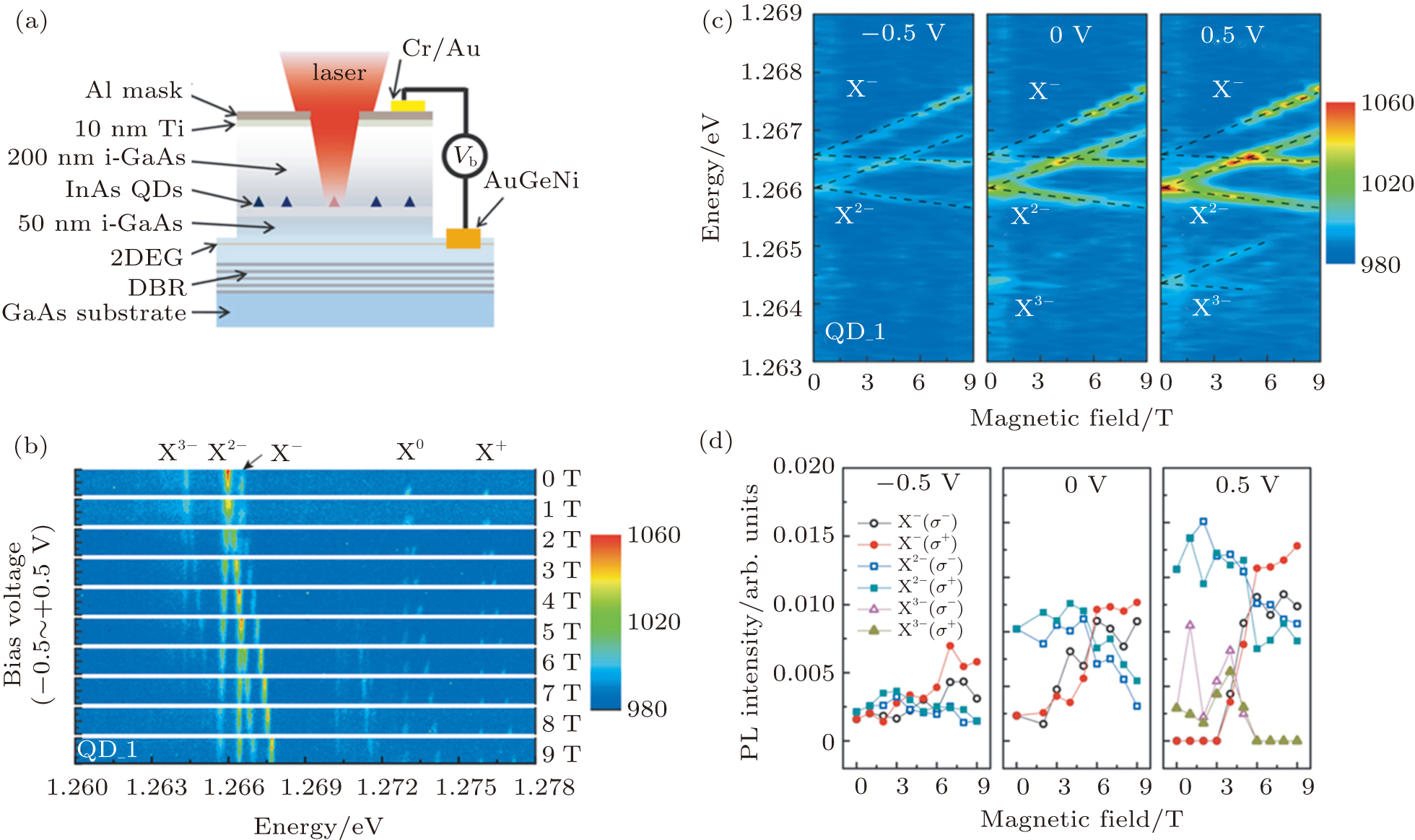 Magneto Optical Properties Of Self Assembled Inas Quantum Dots For Quantum Information Processing