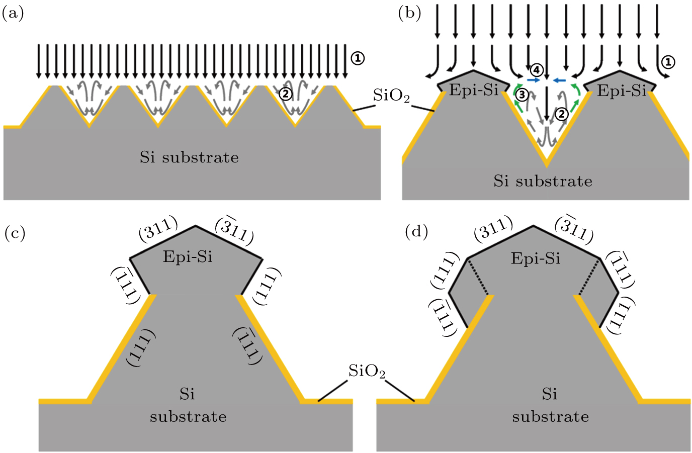 Formation And Preferred Growth Behavior Of Grooved Seed Silicon Substrate For Kerfless Technology