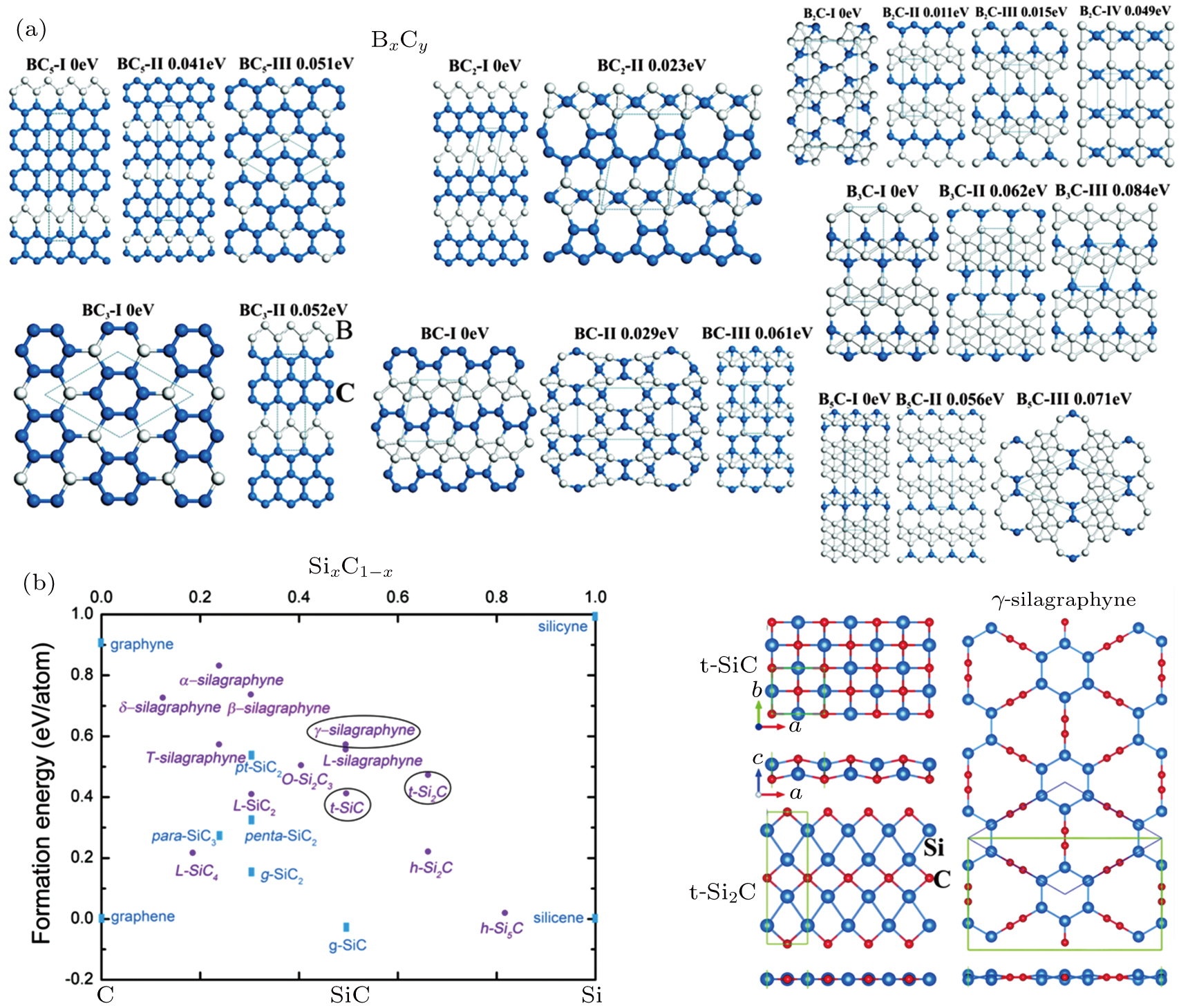 Recent Progress On The Prediction Of Two Dimensional Materials Using Calypso