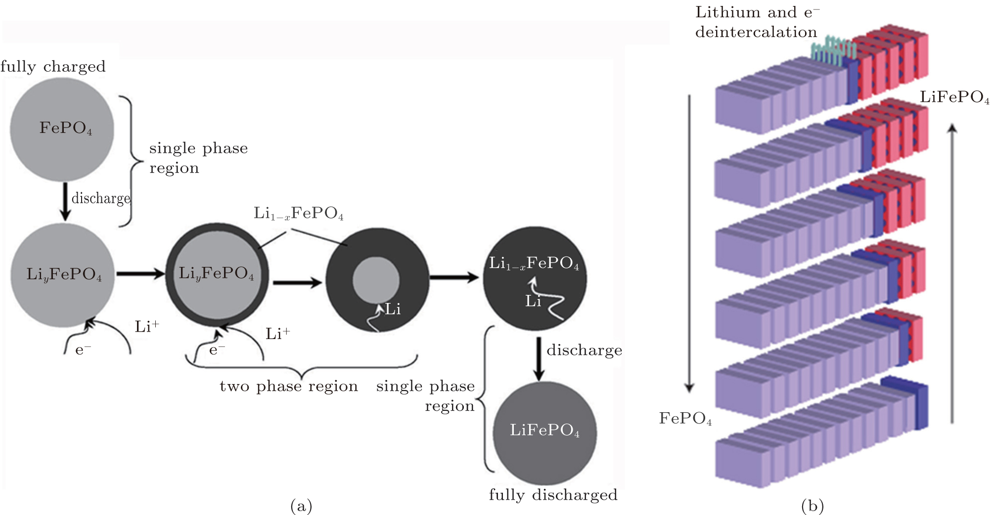 Li-ion batteries: Phase transition